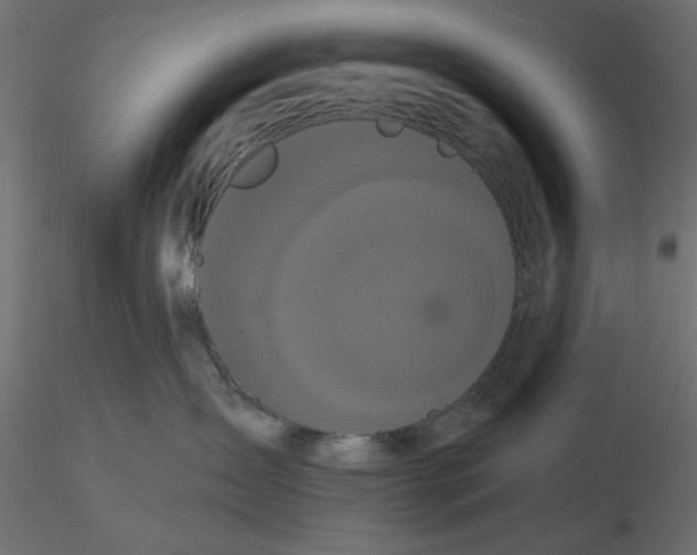 X0000116570431200912311957