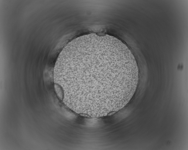 X0000116570432200912311957