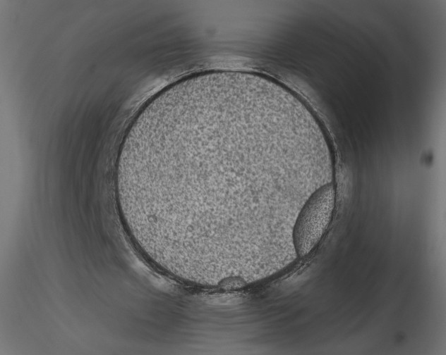 X0000116570433200912311956