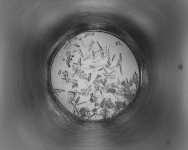 X0000116570435200912311957