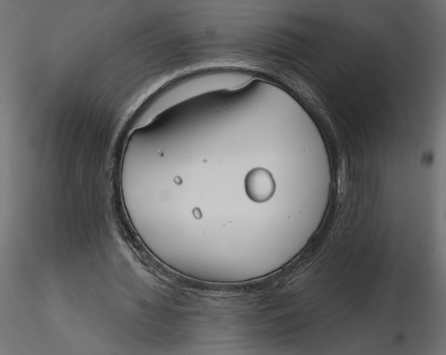 X0000116570436200912311957