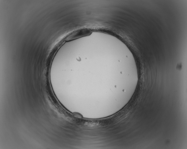 X0000116570440200912311957