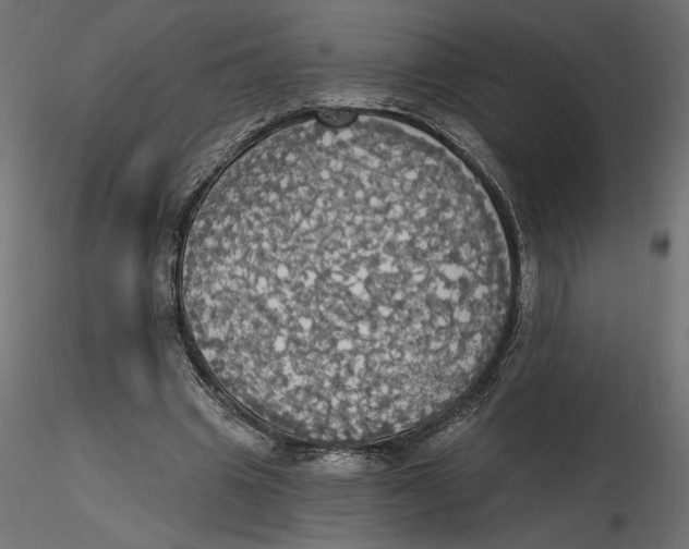 X0000116570441200912311957