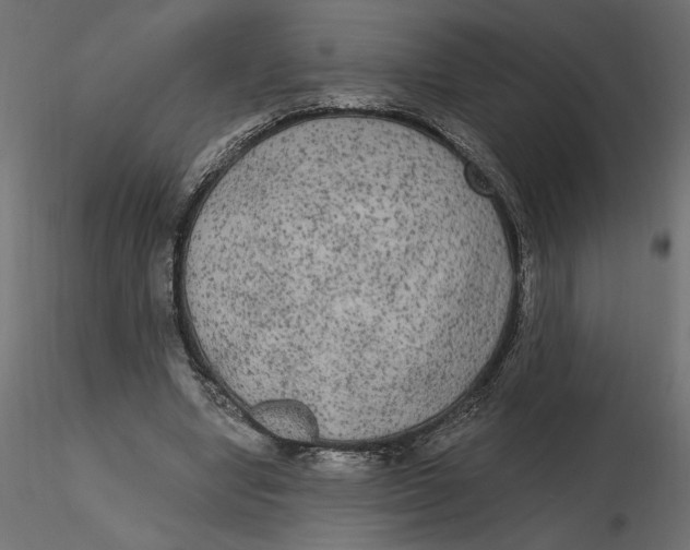 X0000116570442200912311957