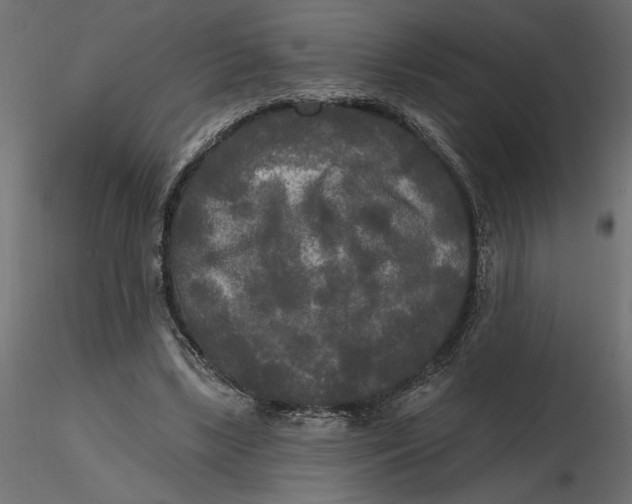 X0000116570443200912311957