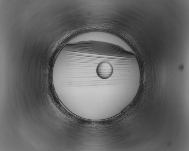 X0000116570444200912311957