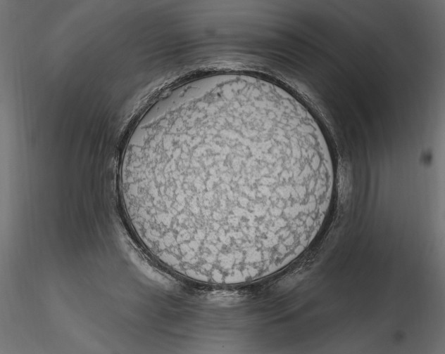 X0000116570445200912311957