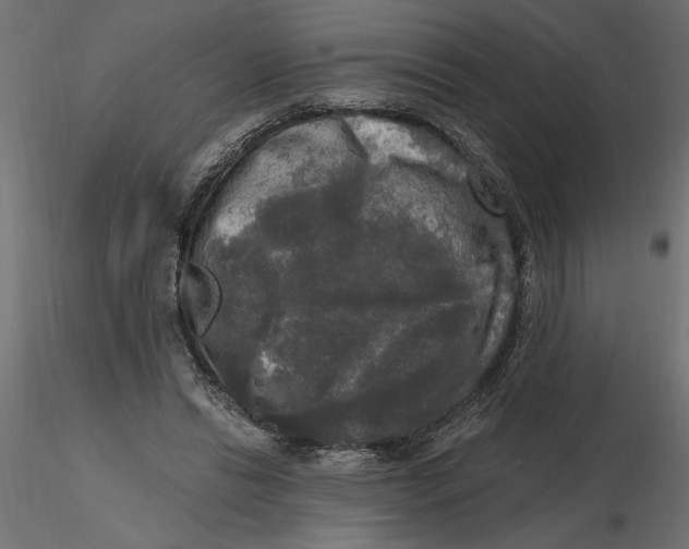 X0000116570446200912311957