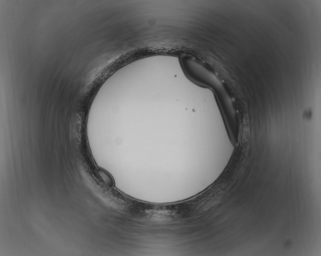 X0000116570448200912311957