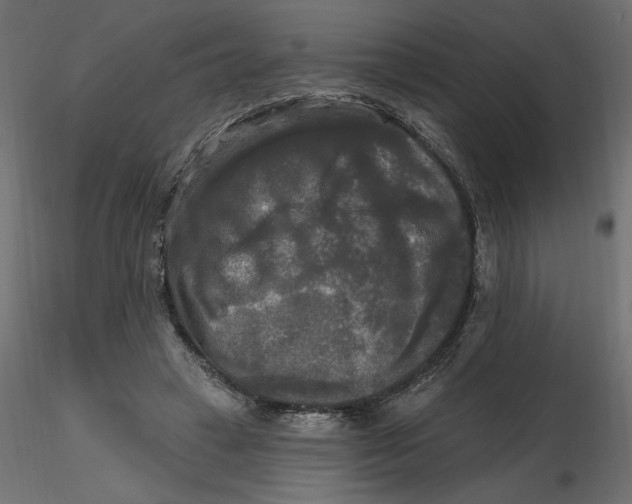 X0000116570449200912311957