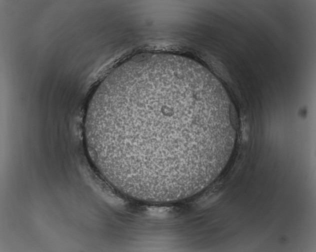 X0000116570450200912311957