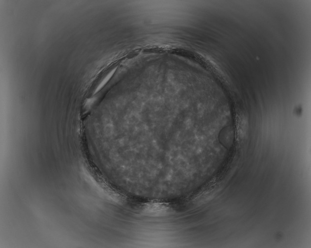 X0000116570451200912311957