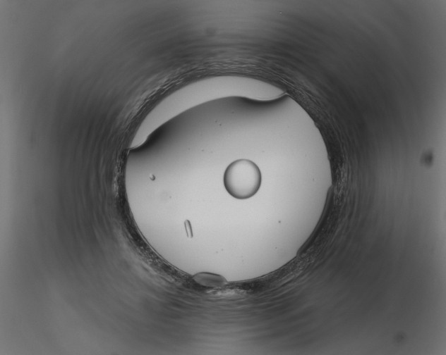 X0000116570452200912311957