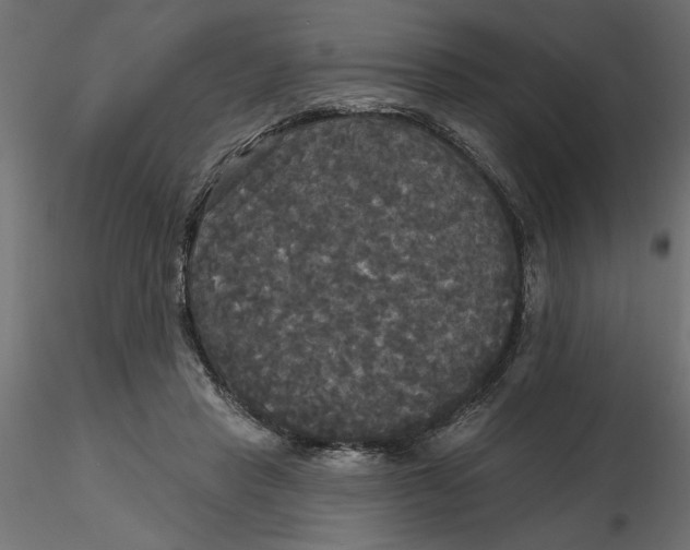 X0000116570453200912311957