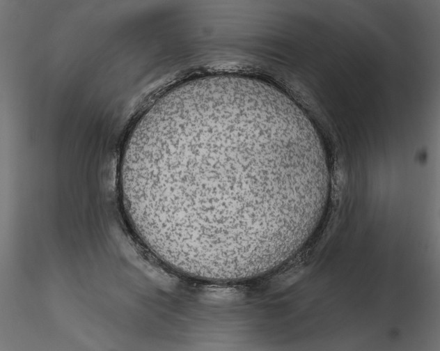 X0000116570454200912311957