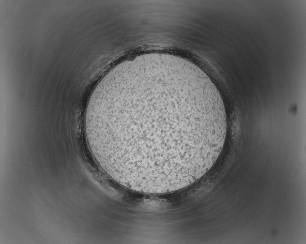 X0000116570455200912311957