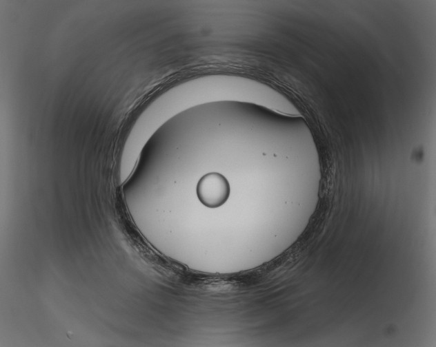 X0000116570456200912311957