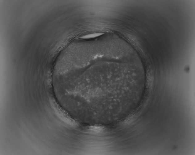 X0000116570457200912311957