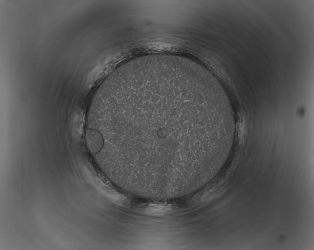 X0000116570458200912311957