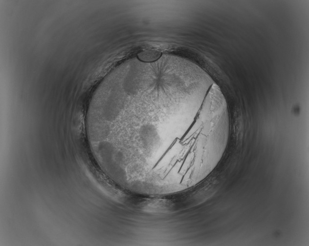 X0000116570459200912311957