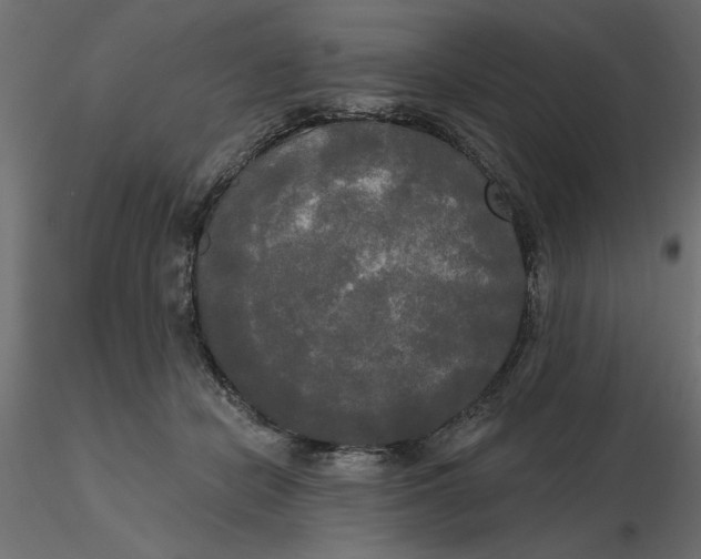 X0000116570462200912311957