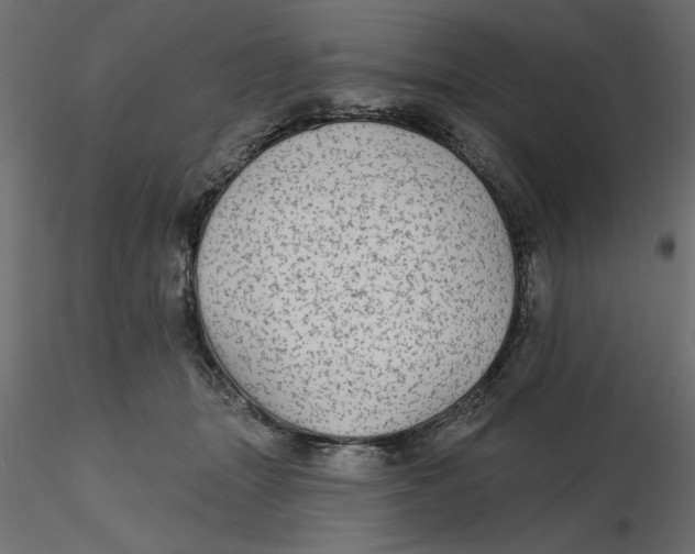 X0000116570463200912311957