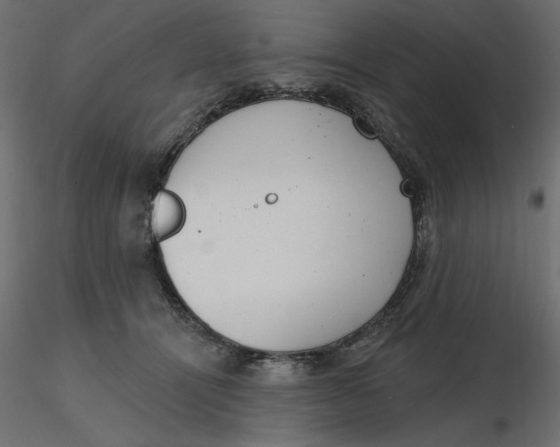 X0000116570464200912311957