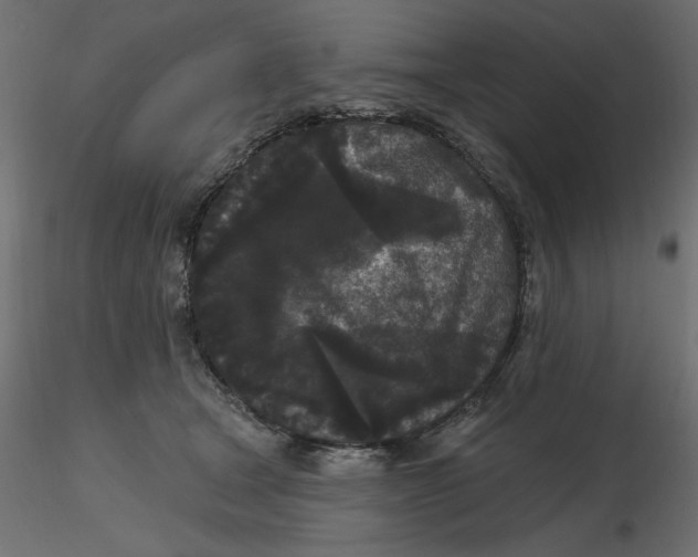 X0000116570465200912311957