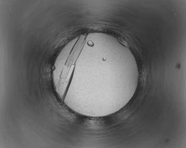 X0000116570466200912311957