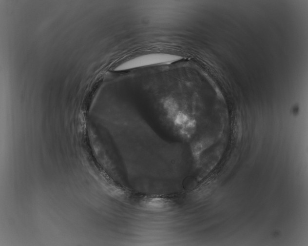 X0000116570467200912311957