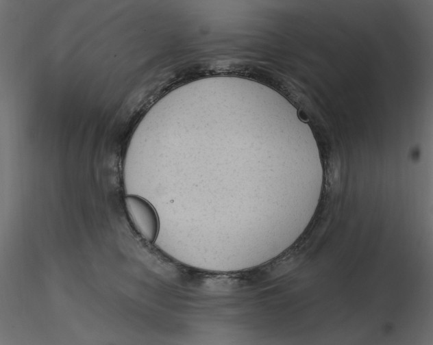 X0000116570470200912311957