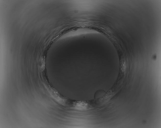 X0000116570471200912311957