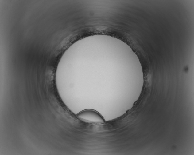 X0000116570472200912311957