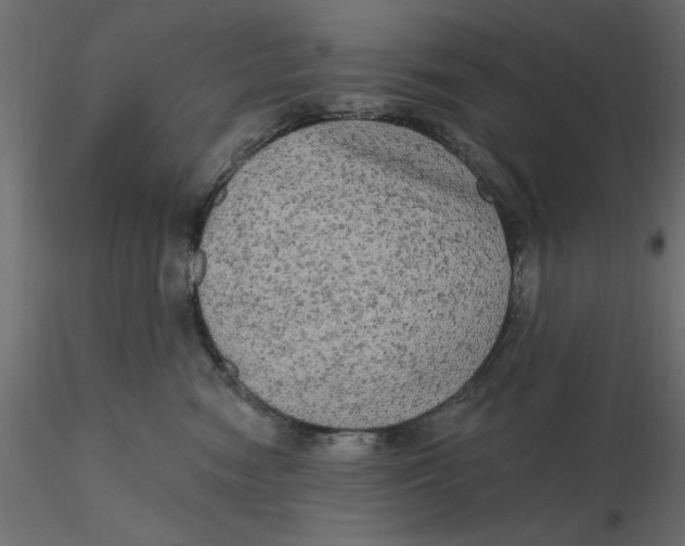 X0000116570474200912311957