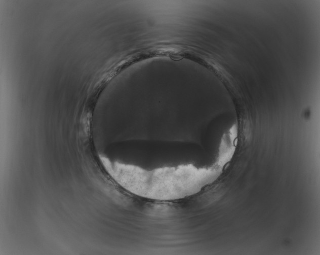 X0000116570475200912311957