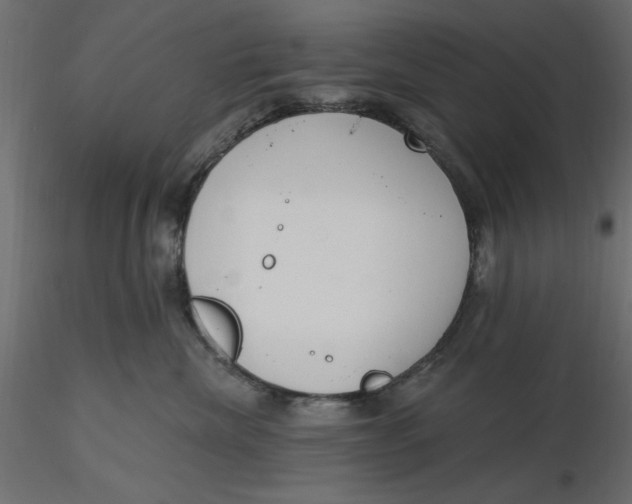 X0000116570476200912311957