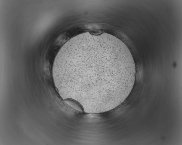 X0000116570477200912311957