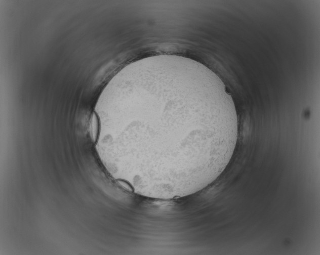 X0000116570478200912311957