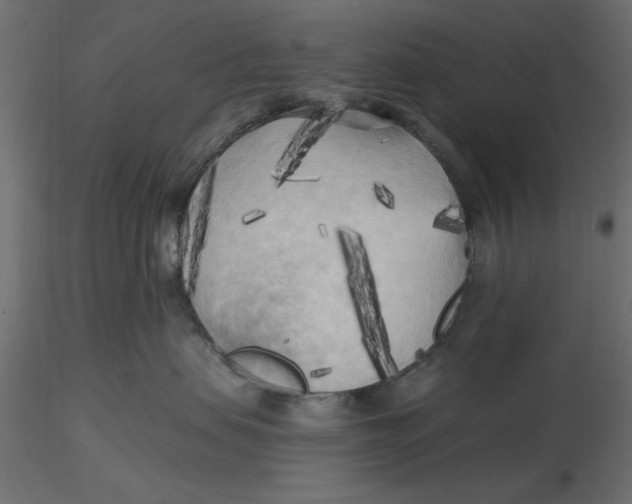 X0000116570479200912311957