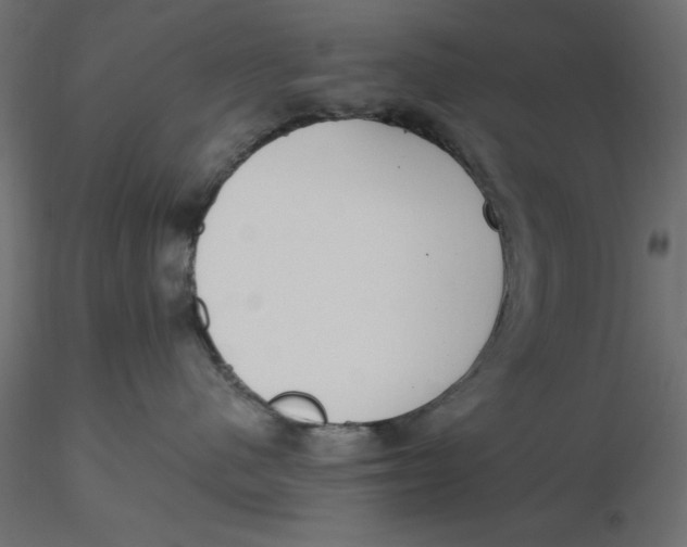 X0000116570480200912311957