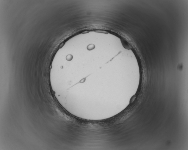 X0000116570481200912311956