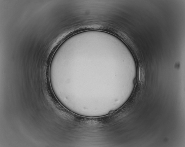 X0000116570483200912311956