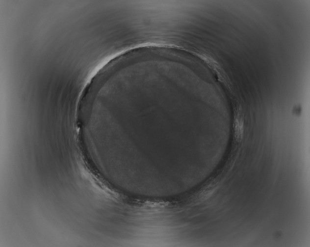 X0000116570484200912311956