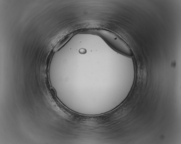 X0000116570485200912311956