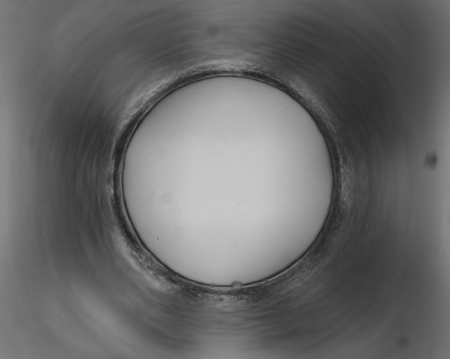 X0000116570486200912311956