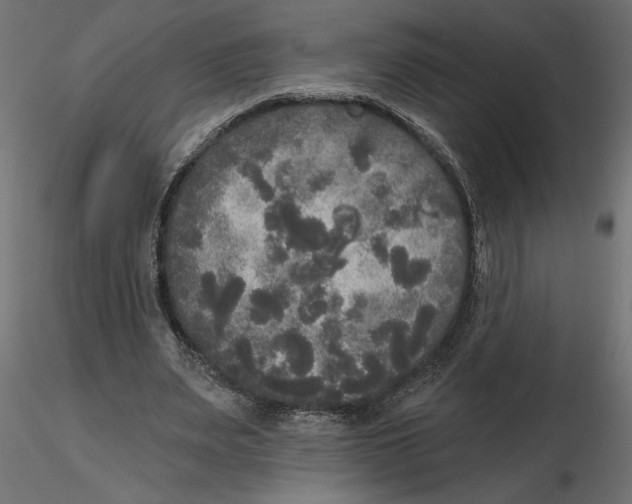 X0000116570487200912311956