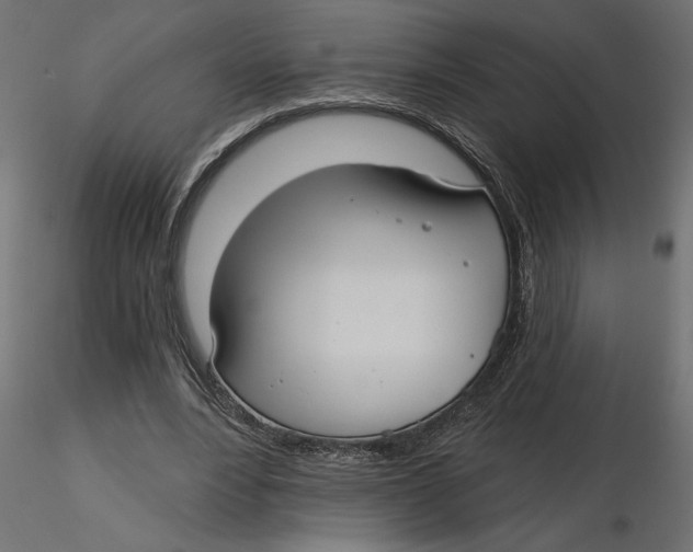 X0000116570488200912311956