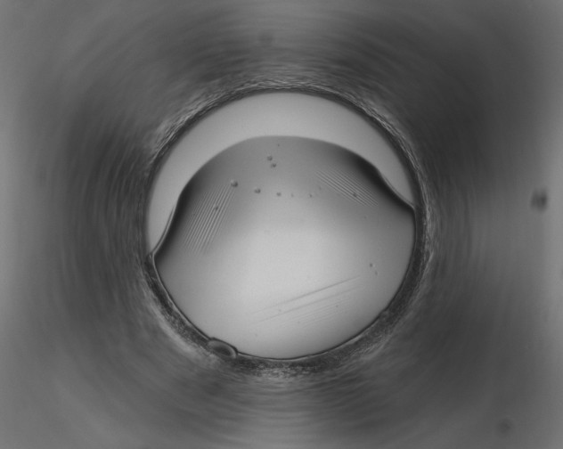 X0000116570489200912311956