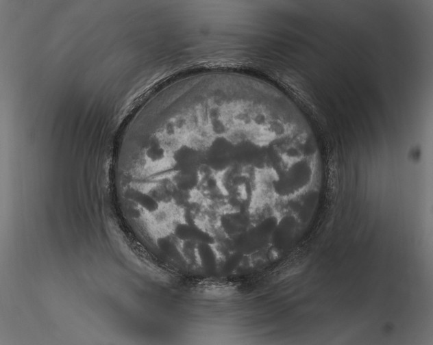 X0000116570491200912311956