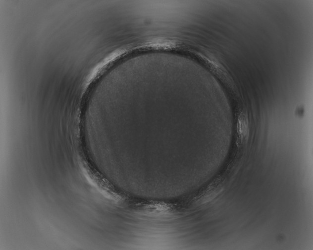 X0000116570492200912311956